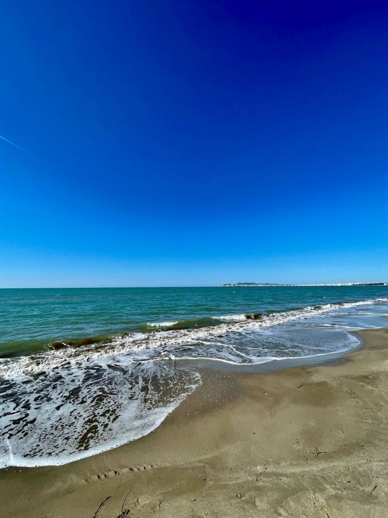 Apartment in a quiet location by the sea - 8