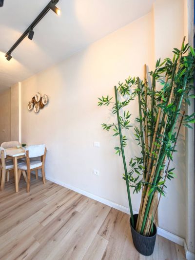Stylish 1+1 apartment with a balcony in Golem - 9
